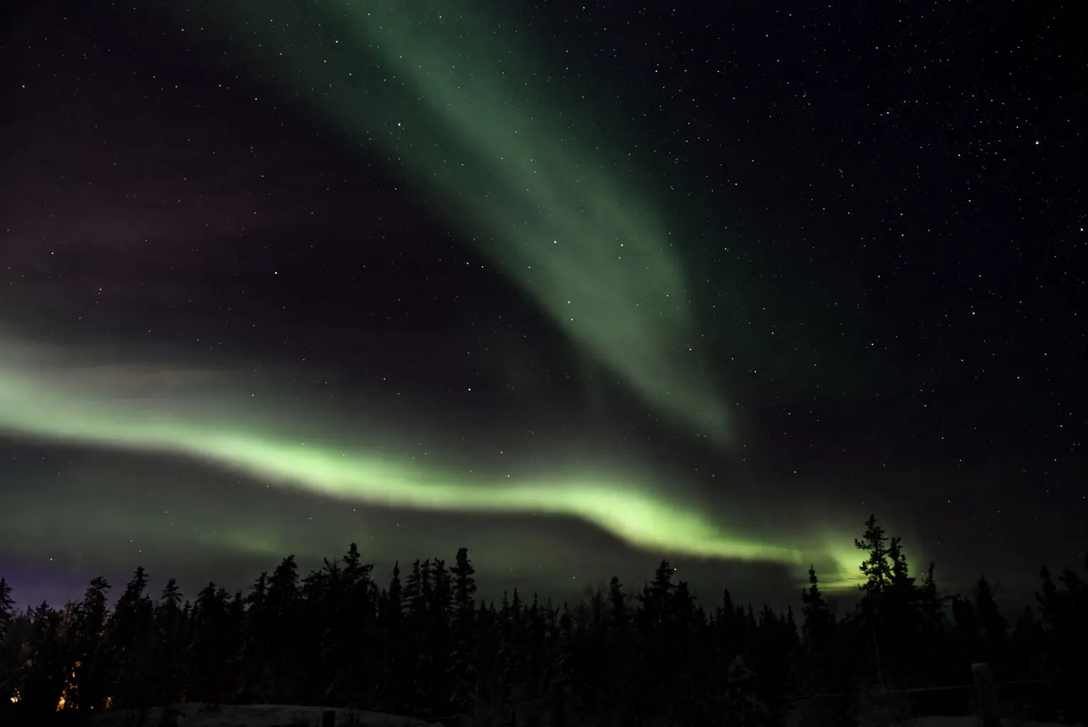 AI-enhanced view: A real green aurora ribbon over dark conifers in Yellowknife, Northwest Territories, Canada.